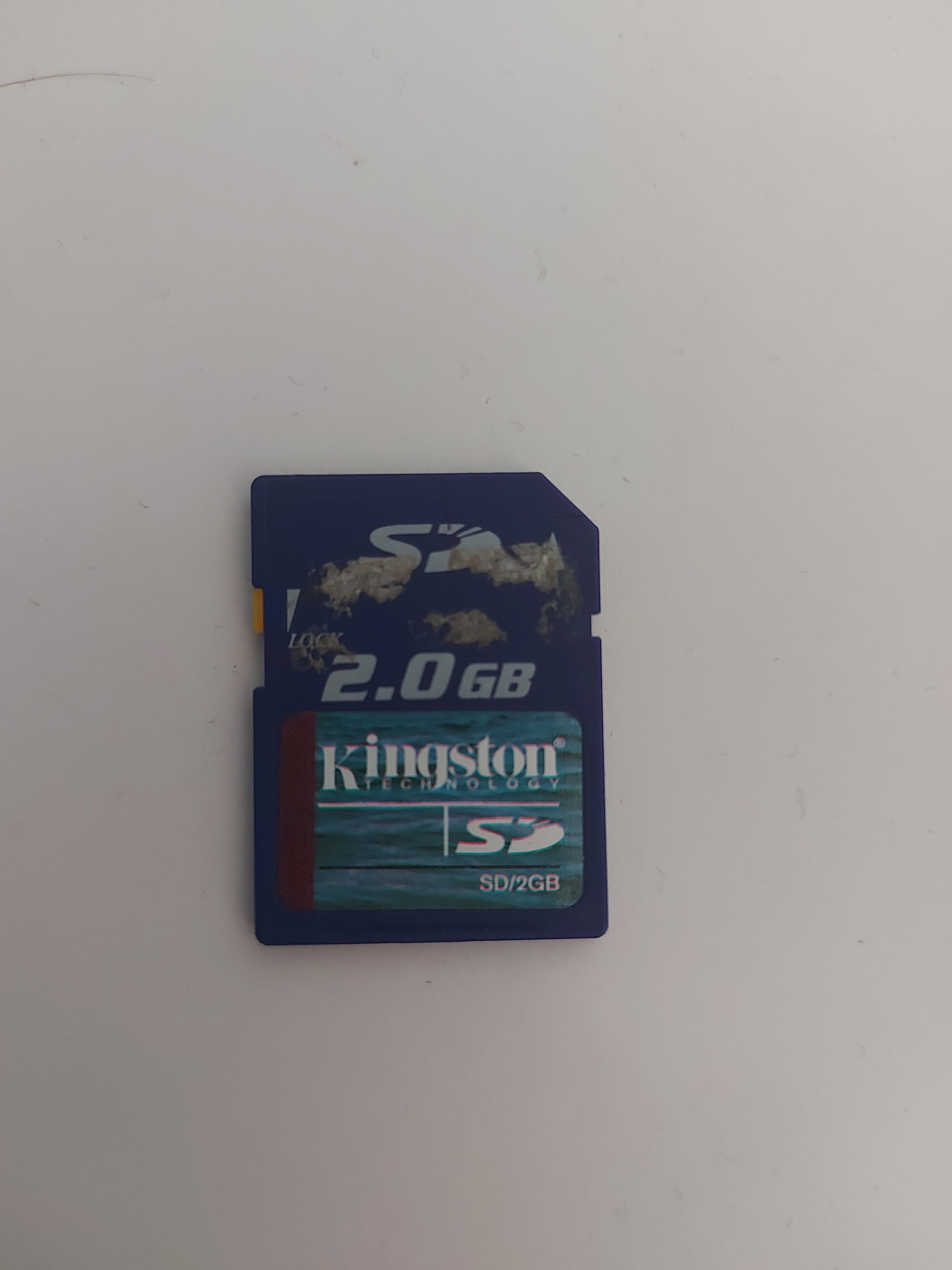 20220413_133542.jpg