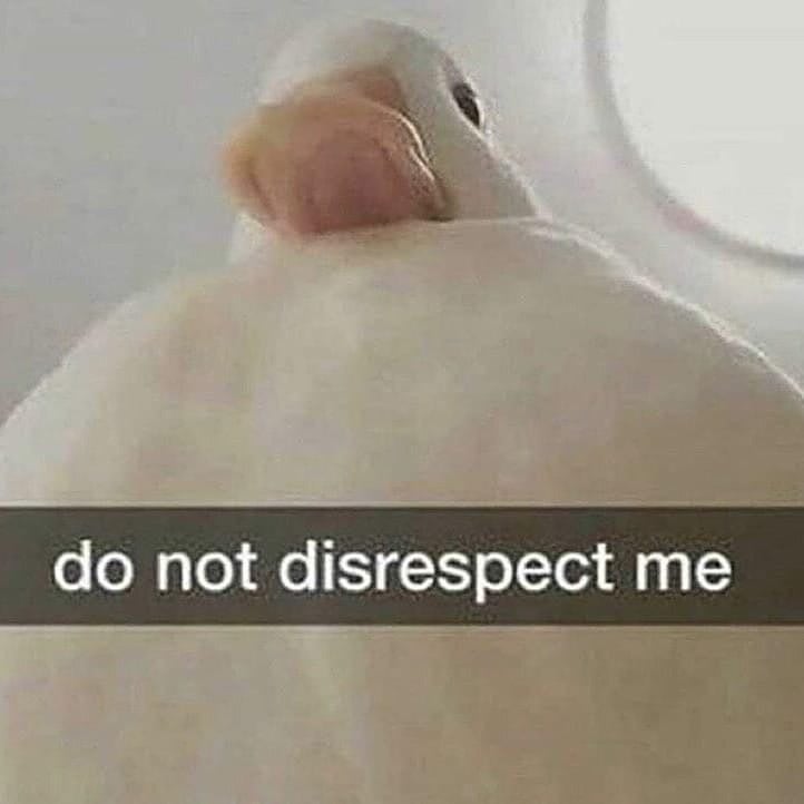 20220712_205730.jpg