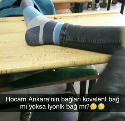 20240820_145303.jpg