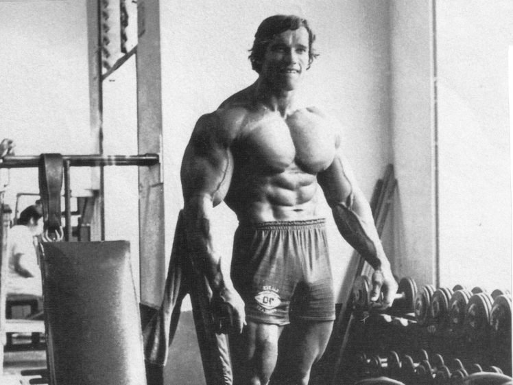 204366-Arnold_Schwarzenegger-bodybuilding-Bodybuilder-working_out-exercise-muscles-748x561.jpg