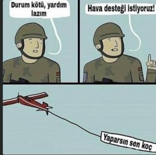 24872.jpg