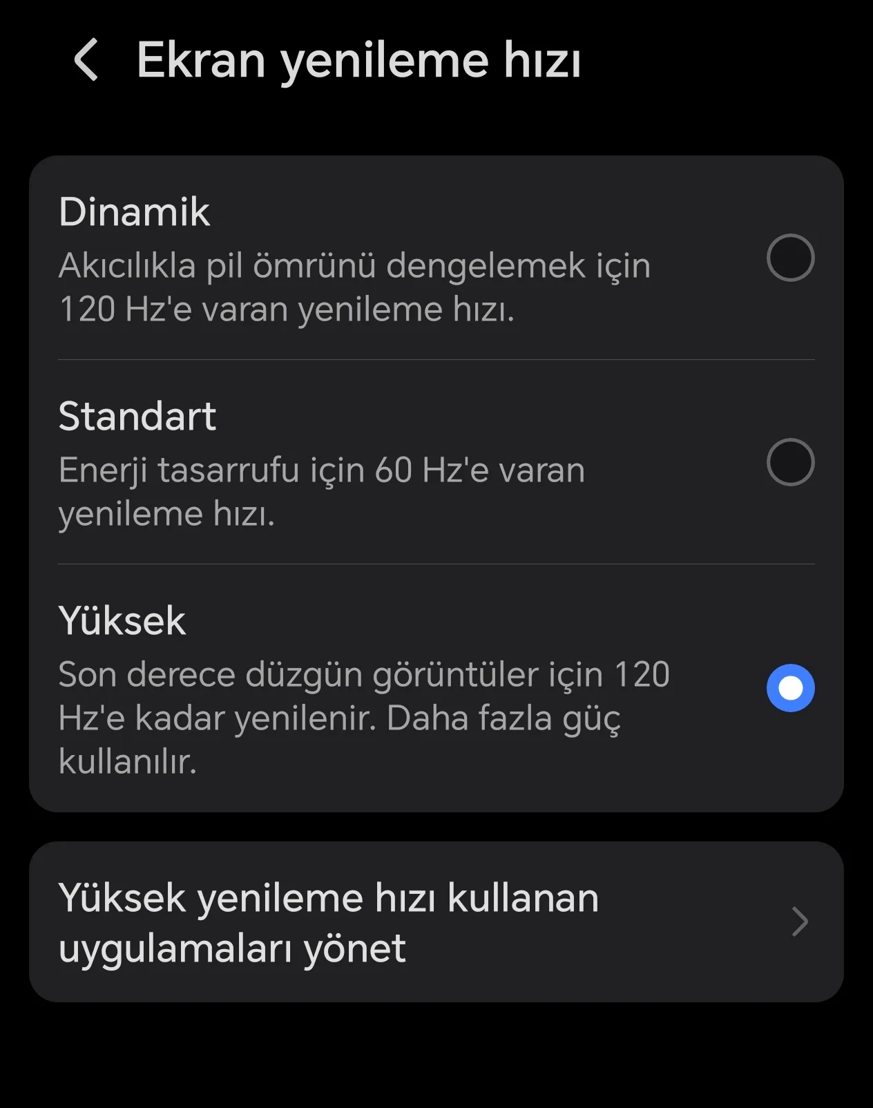2590.webp