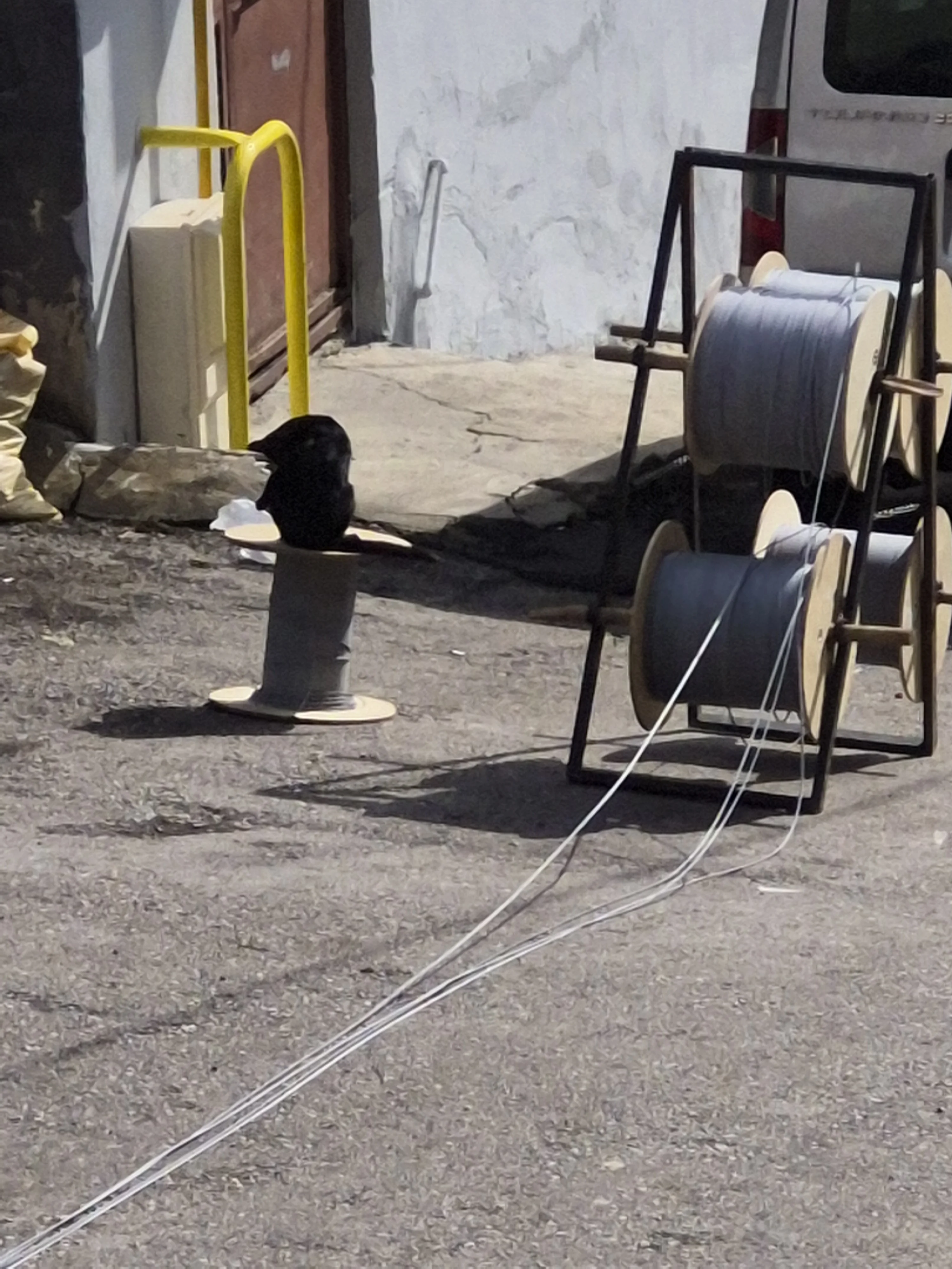 32542.webp