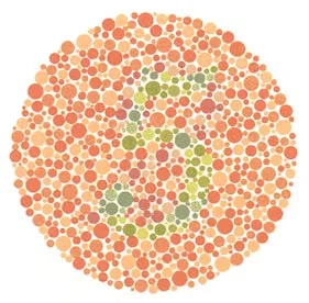 4.webp