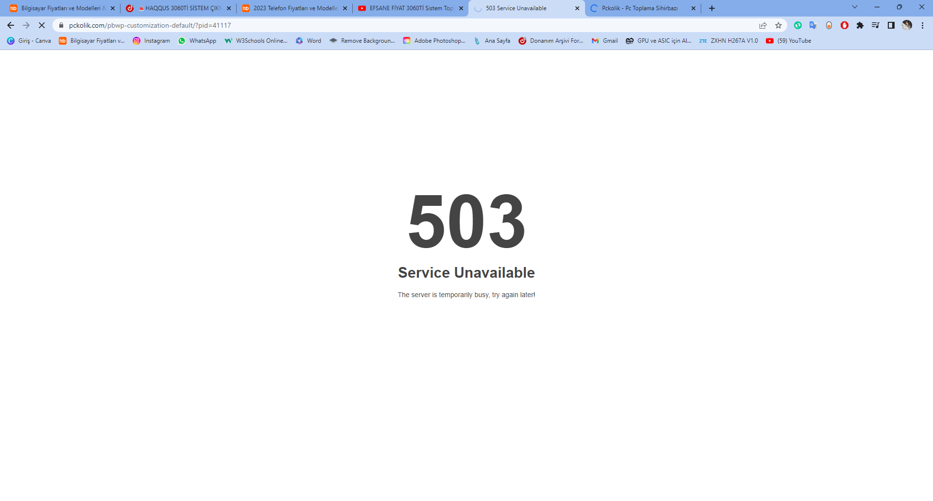 503 Service Unavailable - Google Chrome 24.02.2023 18_17_46.png