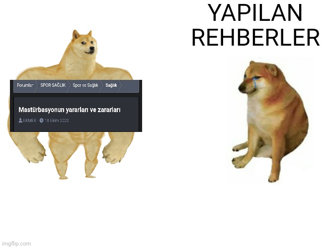 50fim7.jpg