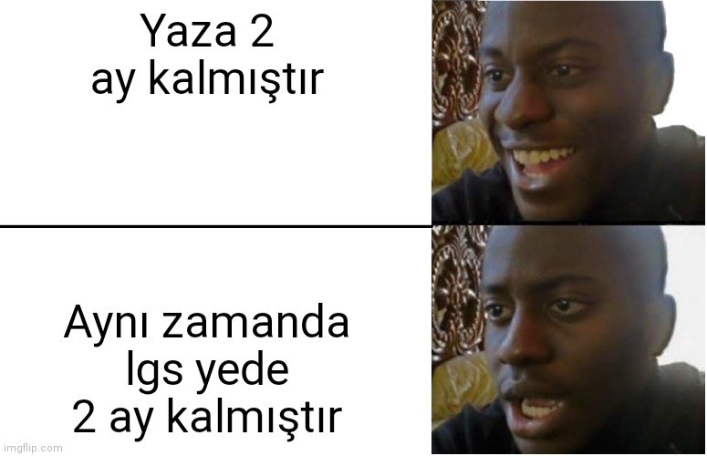 53zvzk.jpg