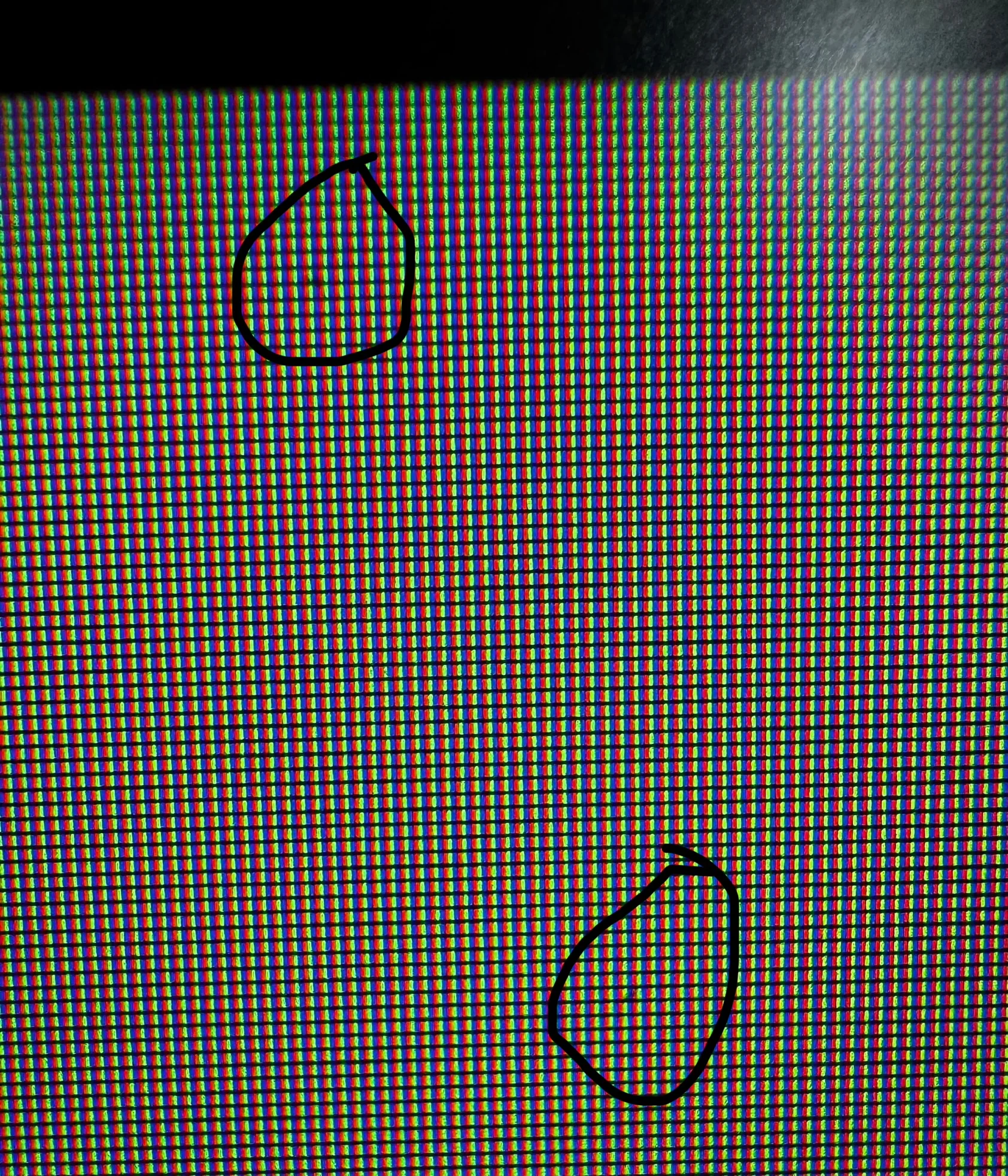 83f65559-5fd0-4c0f-8060-15c3aa2e9d38.webp