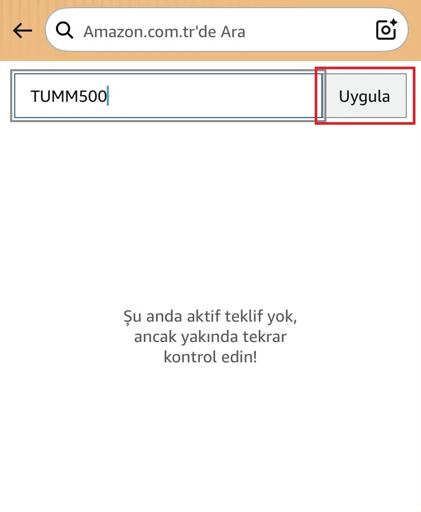 a4bccaa2-8eaa-419e-8d68-fdacd812b5ba.webp