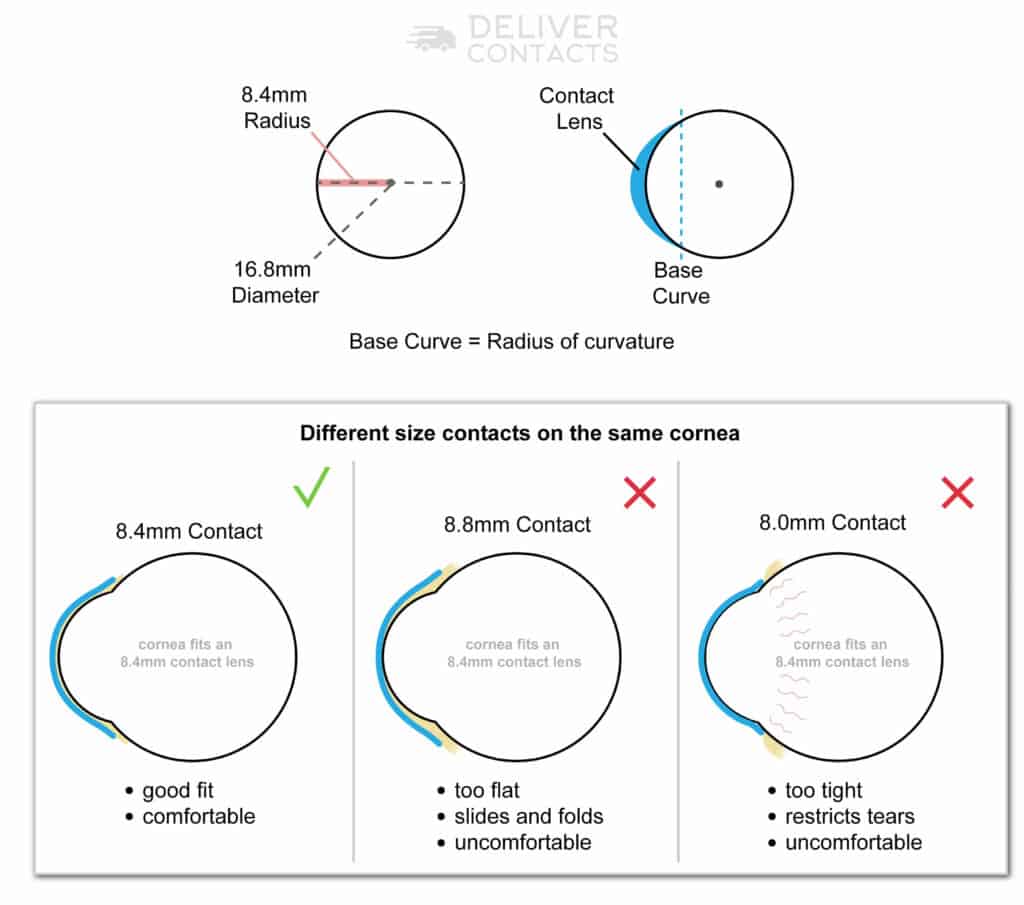 base-curve-1024x905.jpg