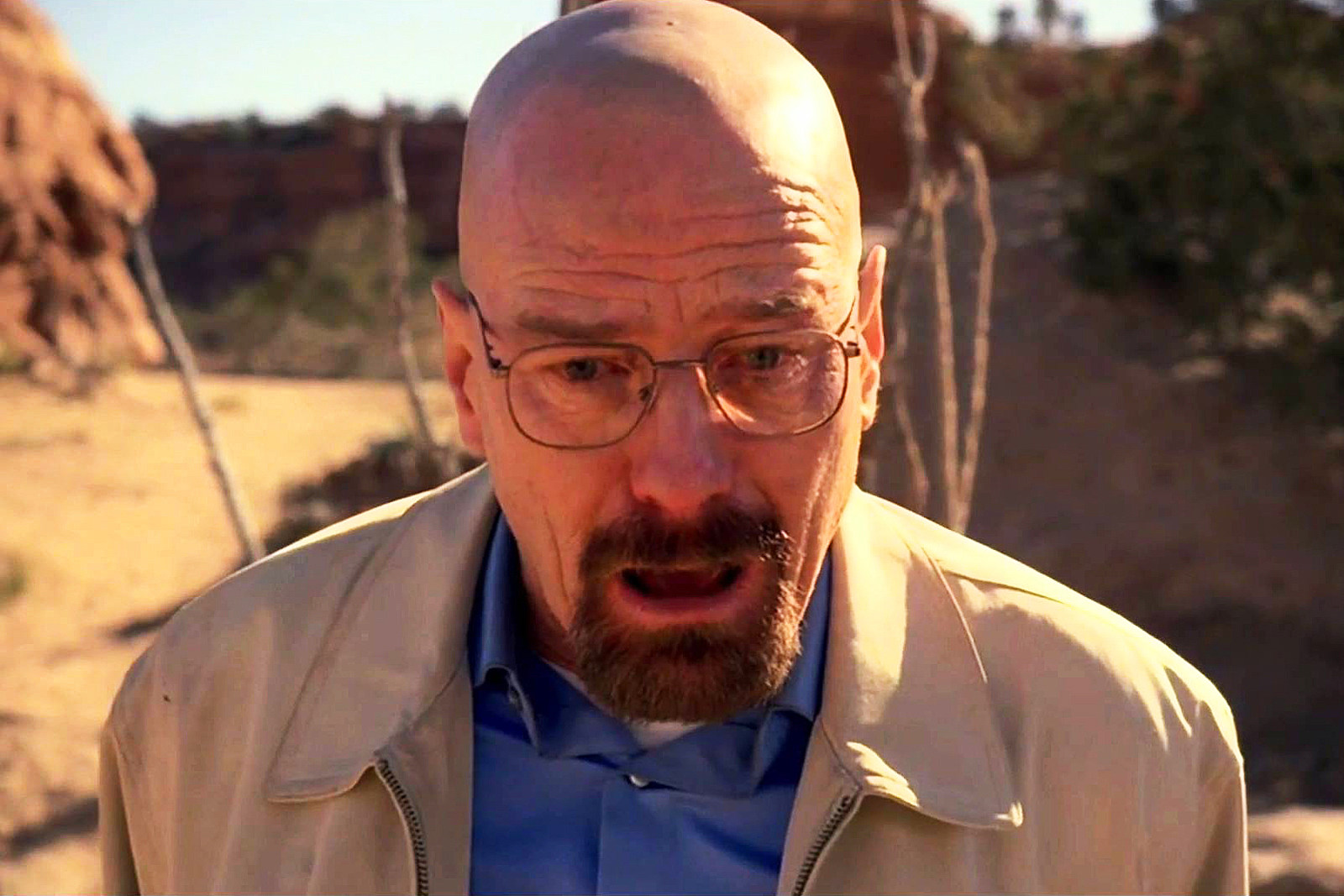 breaking-bad-hank-death-pic.jpg