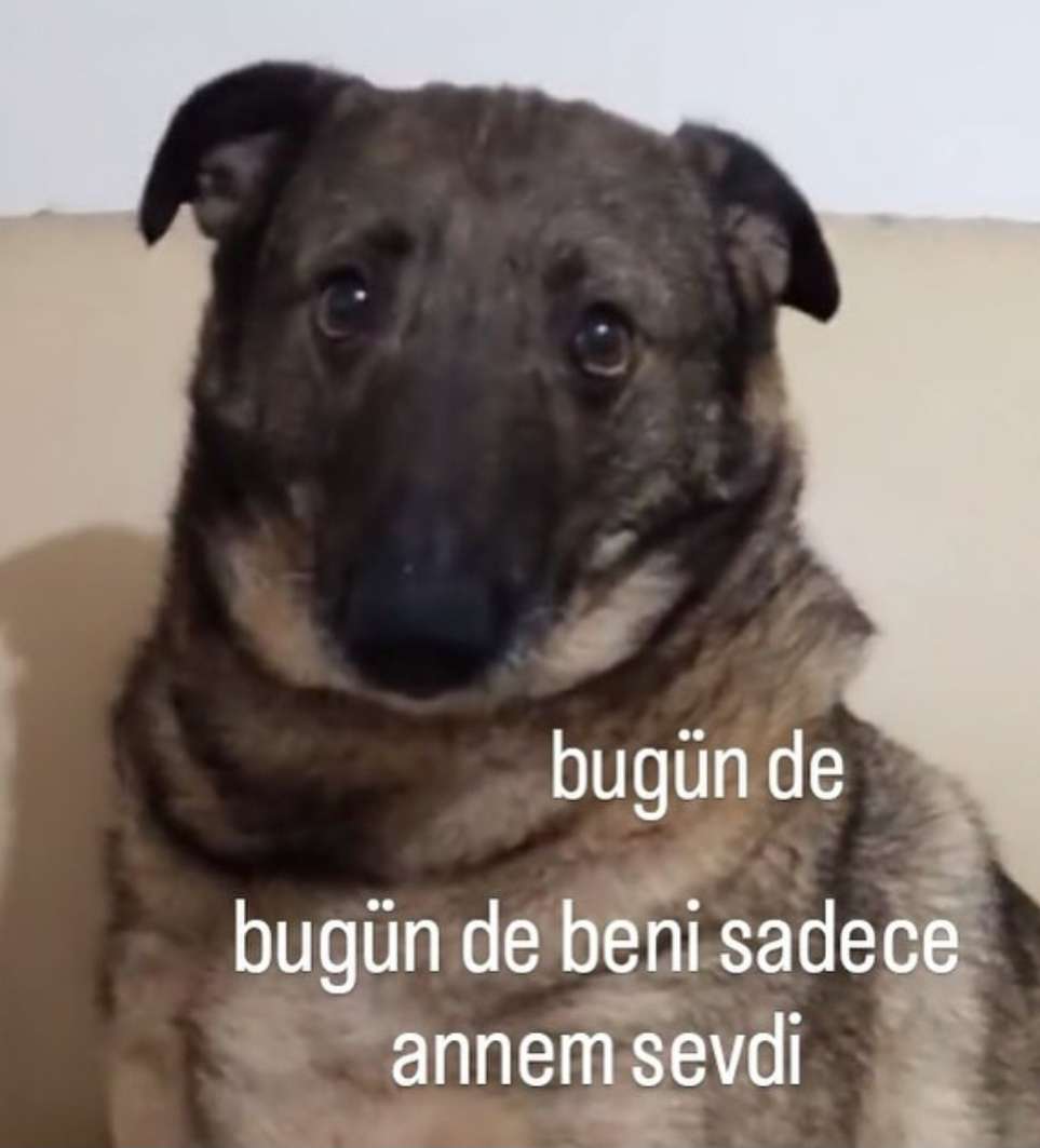 Bugün de bugün de benis sadece annem sevdi.jpg