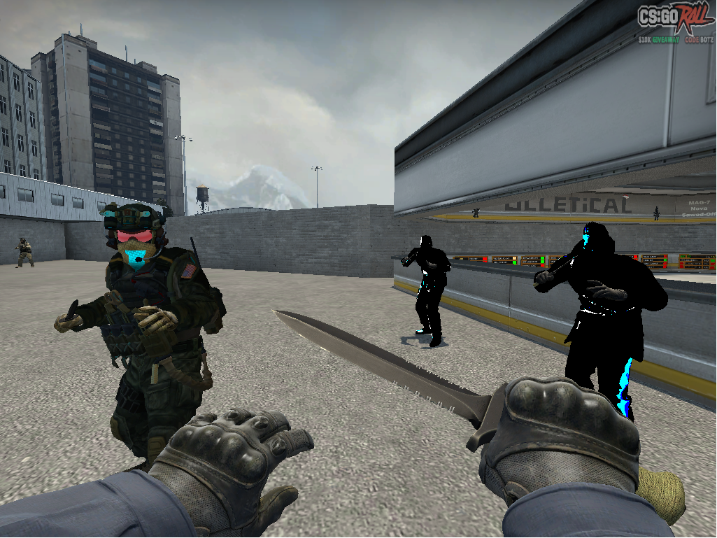 cs1.png