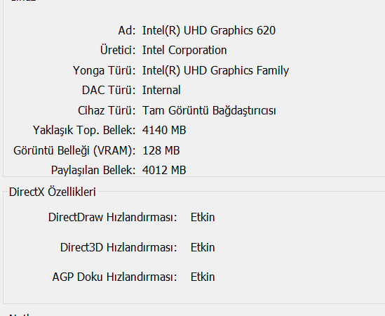 DirectX Tanı Aracı 26.05.2020 01_05_23 (2).png