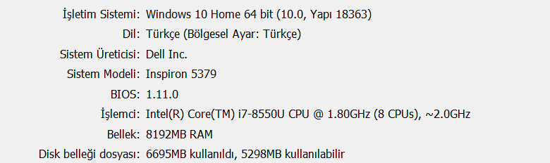 DirectX Tanı Aracı 26.05.2020 01_05_32 (2).png