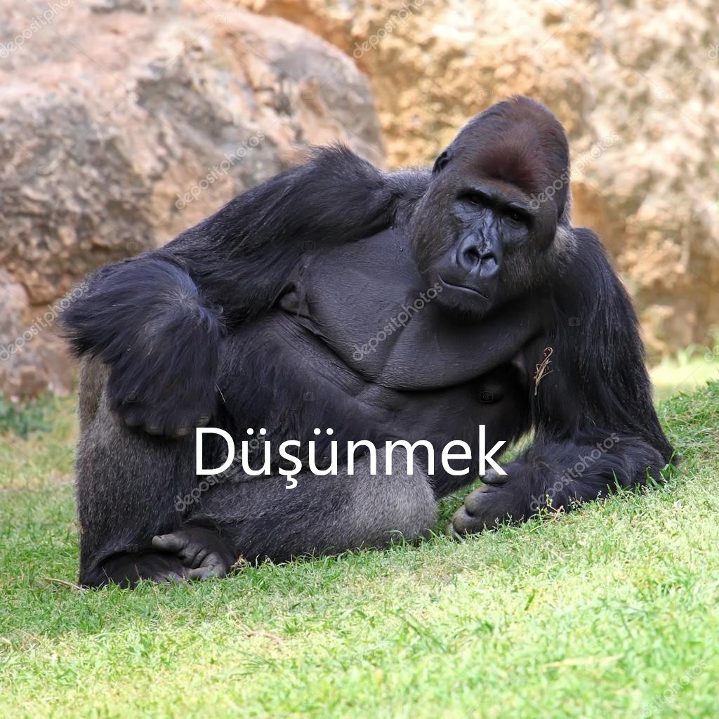 Düşünmek (1).jpg
