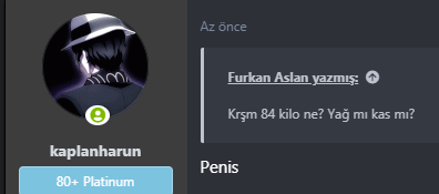 Ekran Alıntısı.PNG