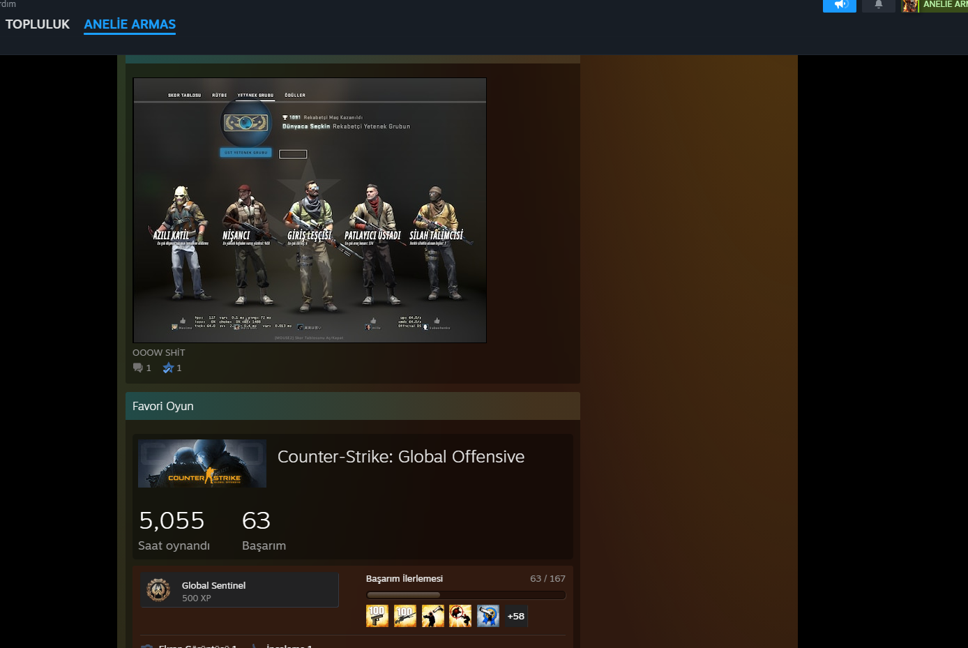 cs go e sporu ile ilgili sorulara yardım lazım:) | Donanım Arşivi Forum