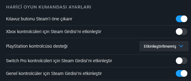 Ekran görüntüsü 2024-11-25 231452.png