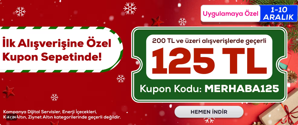 Ekran görüntüsü 2024-11-28 161225.png