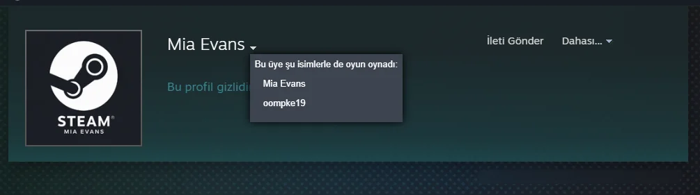 Ekran görüntüsü 2026-06-08 223512.webp