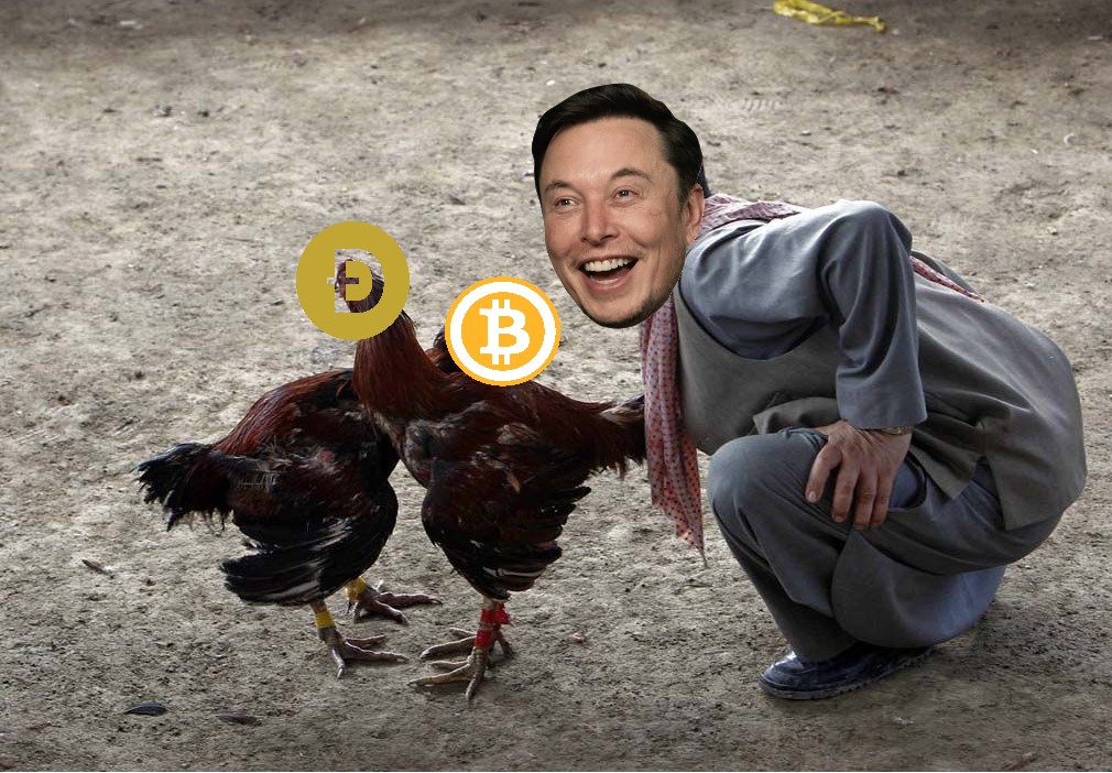 elon coincioglu coin dövüşünde yakalanmadan önce.jpg