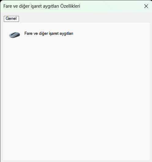 Fare ve diğer işaret aygıtları Özellikleri 31.05.2023 16_44_51.png