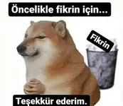 fikir-teşekkür.webp