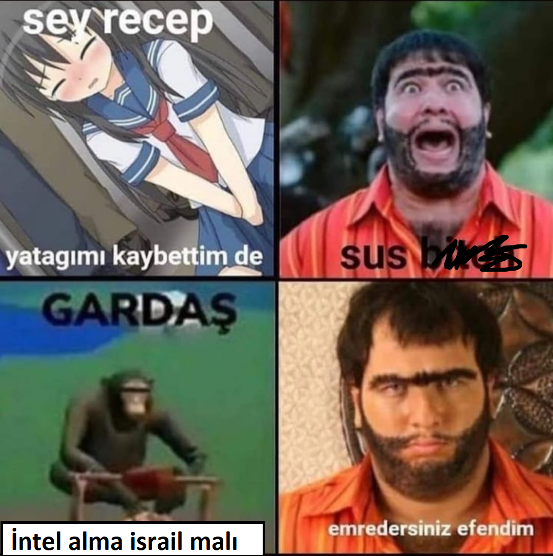 gardas.png