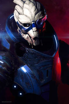 garrus_vakarian___mass_effect_2__1_by_akiba91_d8m1cx0-350t.jpg