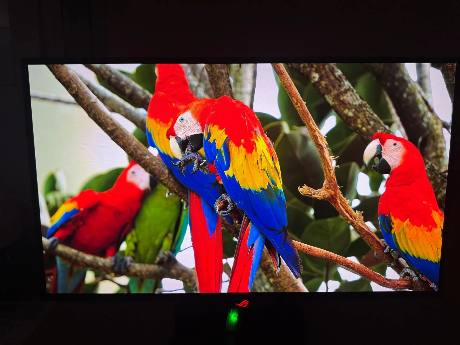 image3.webp