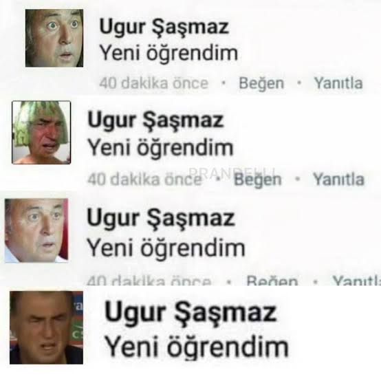 images (5).jpeg