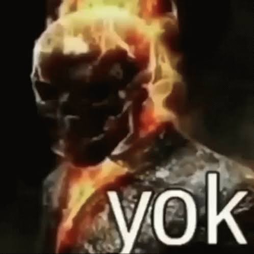 images.jpeg