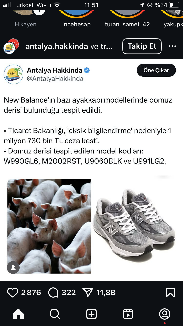 IMG_3709.png