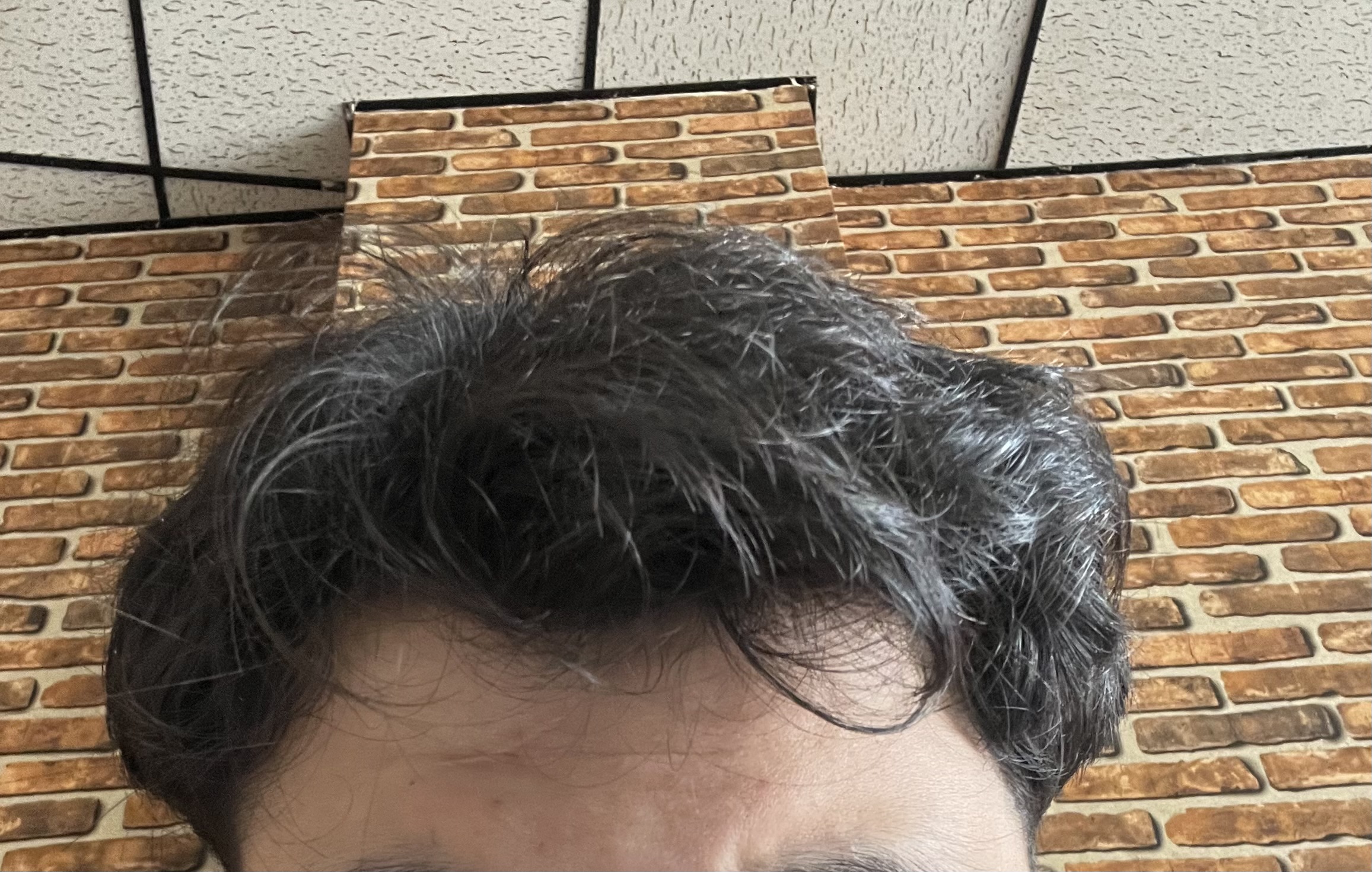IMG_4710.jpeg