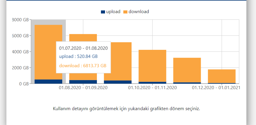 kullanımdetayı.PNG