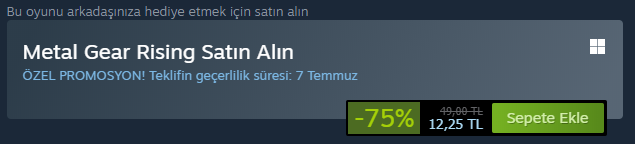 Metal Gear Rising.PNG