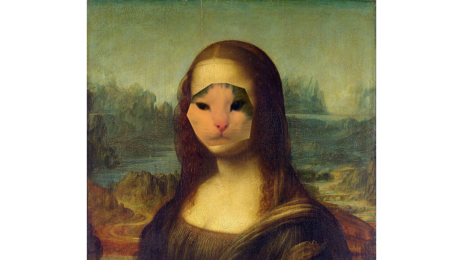 Mona Cat.jpg