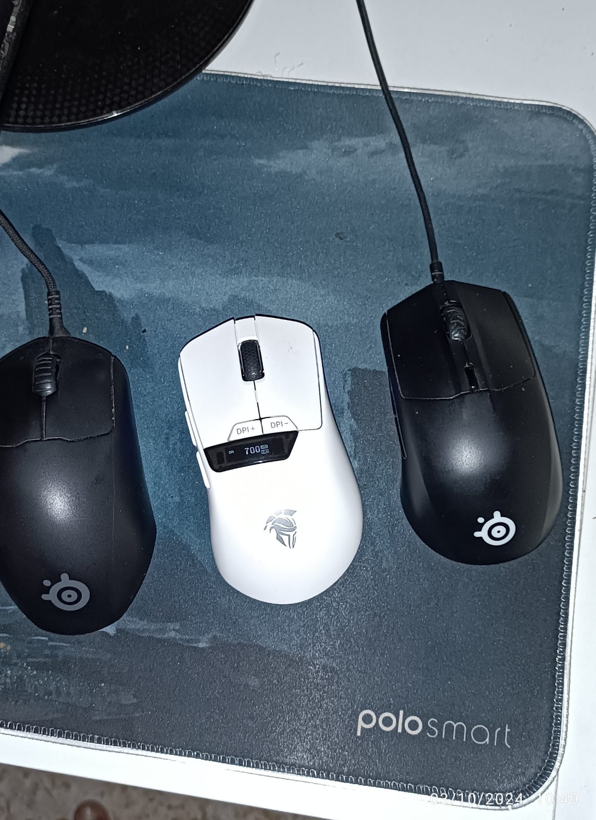 mouse 5.jpg