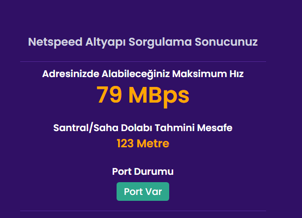 netspeed1.png