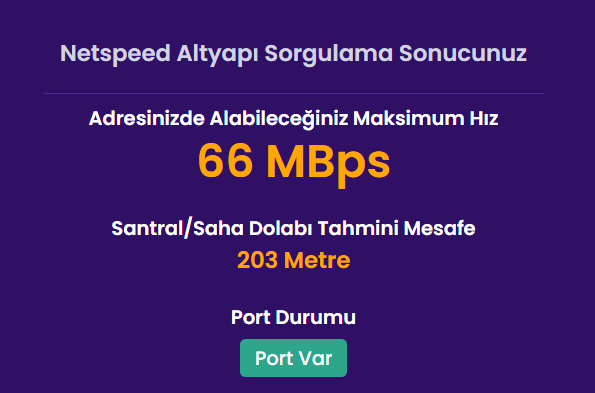 netspeed2.png