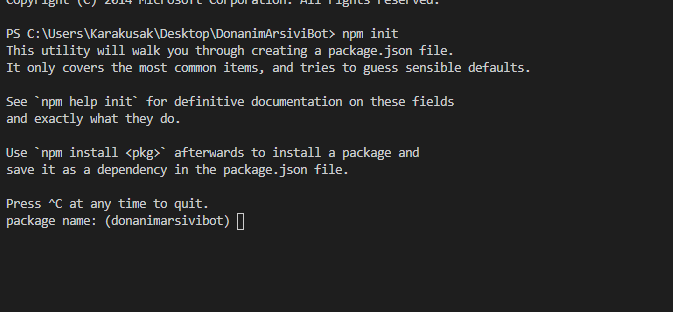 npm.PNG