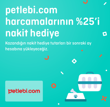 petlebi.png