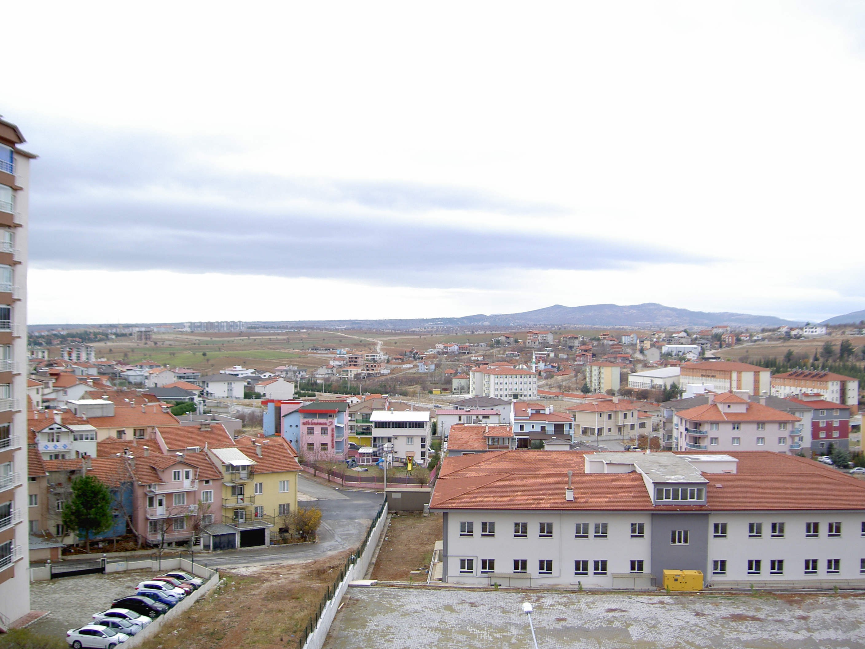 PICT2338.JPG