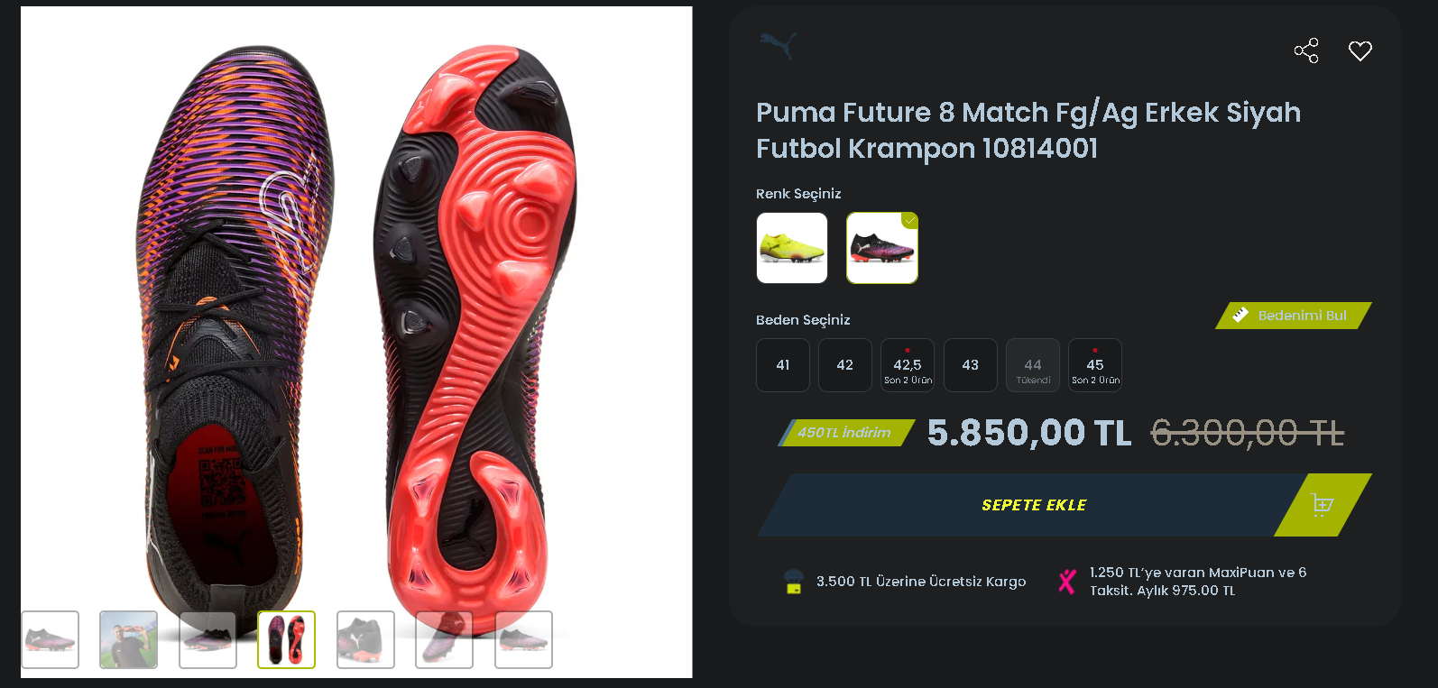Puma mor2.png