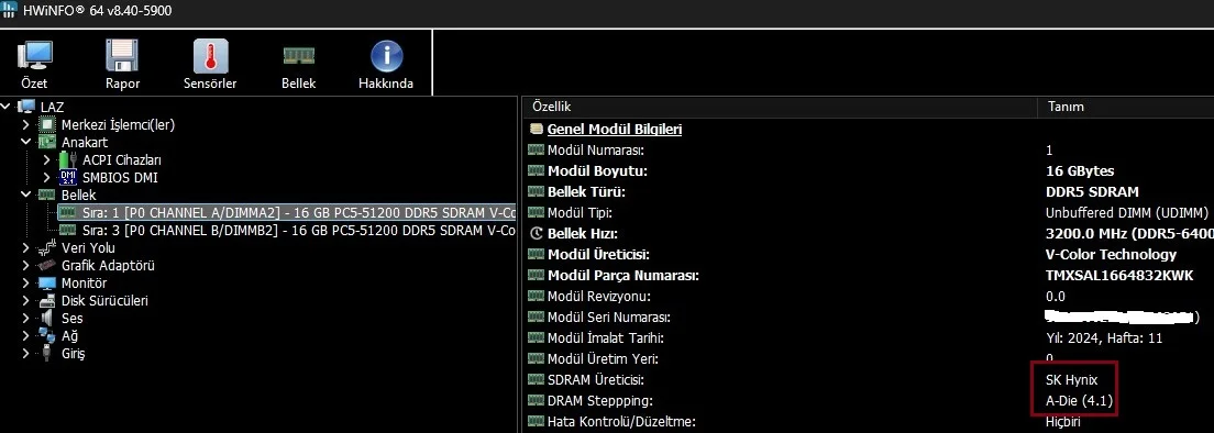ram  chipöğrenme.webp