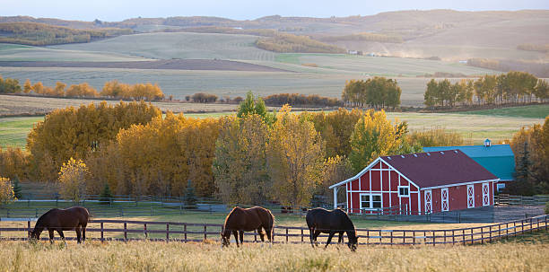 red-barn-and-horses-on-the-prairie.jpg