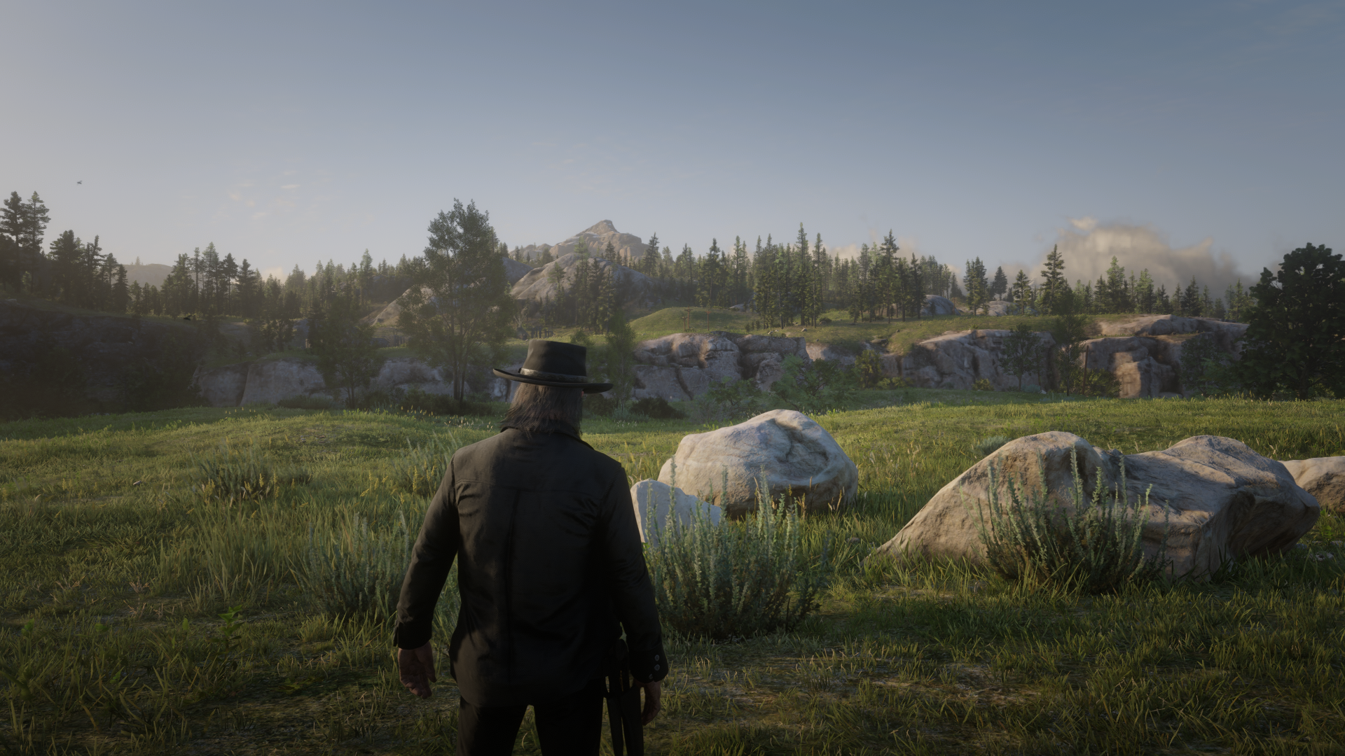 Red Dead Redemption 2 Screenshot 2025.01.31 - 00.26.23.61.png