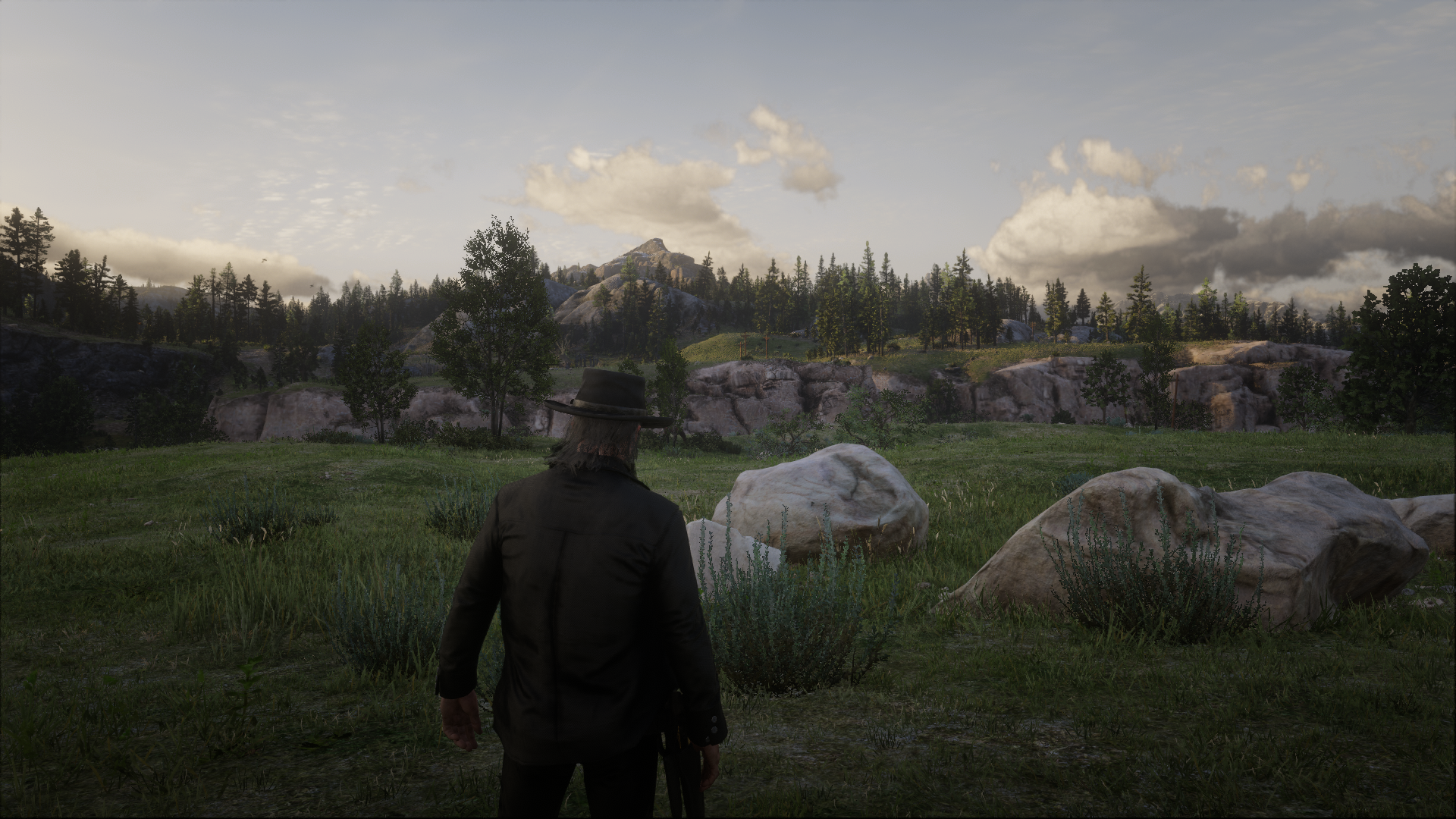 Red Dead Redemption 2 Screenshot 2025.01.31 - 00.27.16.95.png