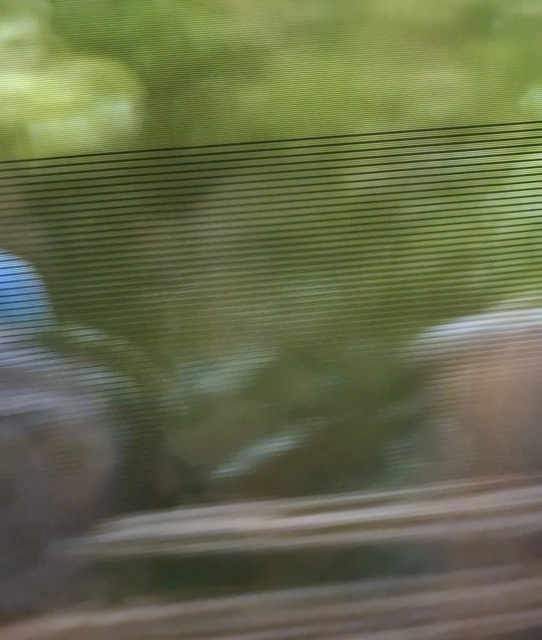 Screenshot_20260517_184702_Gallery(1).webp